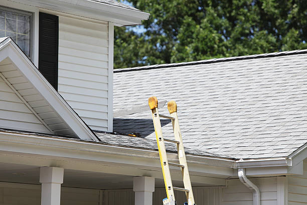 Best Historical Building Siding Restoration  in Carbondale, PA